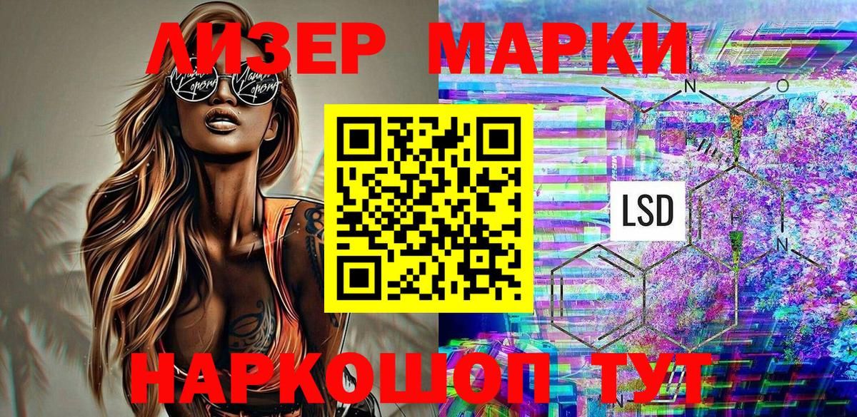 МЕФ Россошь