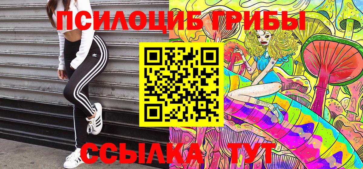 Россошь  Псилоцибиновые грибы мицелий  Вход с VPN  Галлюциногенные грибы Magic Shrooms 